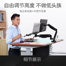 乐歌（Loctek） 笔记本液晶显示器二合一支架Q5F2